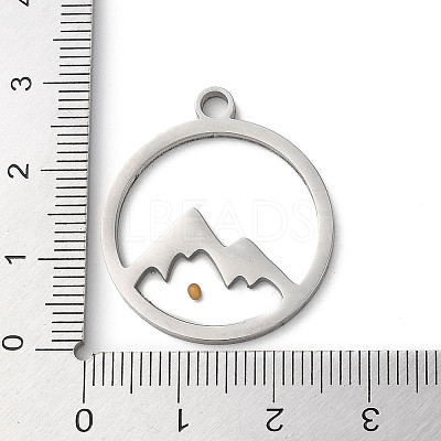 Non-Tarnish 201 Stainless Steel Pendants STAS-D041-17P-1