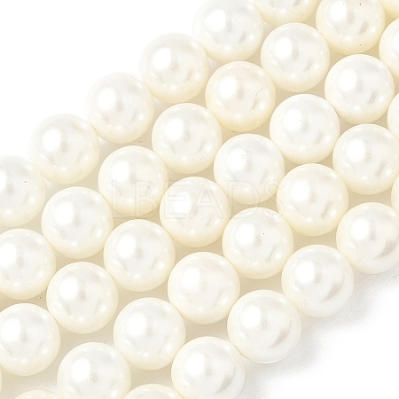 Shell Pearl Beads Strands BSHE-K015-10mm-03-1