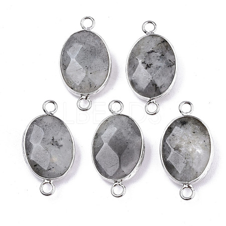 Natural Labradorite Links/Connectors G-T131-102-14-1