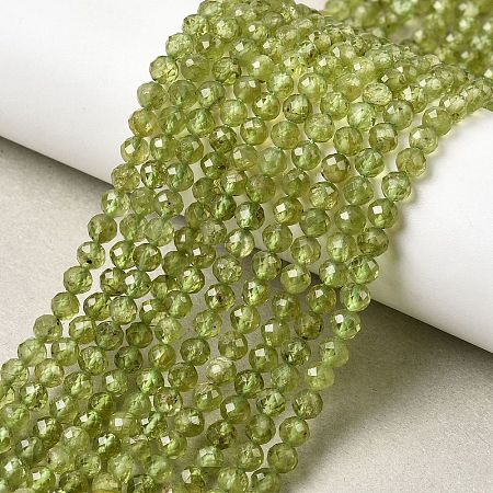 Natural Peridot Beads Strands G-P603-C-4mm-01-1