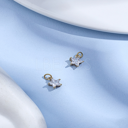 2Pcs Brass Pendants ZIRC-LP0001-50-1