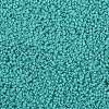 TOHO Round Seed Beads SEED-TR11-0055-2