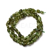 Natural Peridot Beads Strands G-I389-A27-3