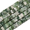 Natural Green Spot Jasper Beads Strands G-A280-C14-01-3