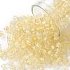 6/0 Glass Seed Beads SEED-A014-4mm-131-1