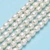 Natural Cultured Freshwater Pearl Beads Strands PEAR-J006-14B-01-2