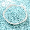 Baking Paint Glass Seed Beads SEED-S042-05A-35-2
