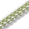 UV Plating Pearlized Glass Pearl Beads Strands GLAA-F128-01A-T21-1