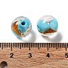 Handmade Lampwork Beads LAMP-H065-01C-4