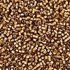 Glass Seed Beads X-SEED-S042-04B-16-2