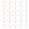 316 Surgical Stainless Steel Earring Hooks STAS-P220-13RG-1