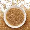 TOHO 11/0 Round Beads SEED-TR11-0701-3