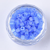 6/0 Transparent Glass Seed Beads SEED-S027-03B-04-2