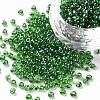 (Repacking Service Available) Glass Seed Beads SEED-C015-3mm-107B-1