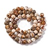 Natural Fire Crackle Agate Beads Strands G-G163-A01-01-3