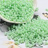 Glass Seed Beads SEED-K009-02B-13-1