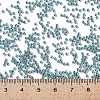 MIYUKI Round Rocailles Beads SEED-X0056-RR1824-4