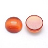 Natural Carnelian Cabochons X-G-P393-R41-12mm-2