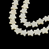 Star Shape Natural Sea Shell Beads Strands X-SSHEL-F290-18B-1