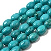 Natural Howlite Beads Strands G-B049-D01-02A-1