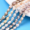 Natural Cultured Freshwater Pearl Beads Strands PEAR-N012-05W-1
