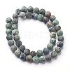 Natural African Turquoise(Jasper) Bead Strands G-P214-03-8mm-2