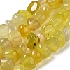 Natural Agate Beads Strands G-H295-B01-04-5
