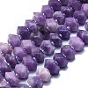 Natural Lepidolite/Purple Mica Stone Beads Strands G-K245-G02-04-1
