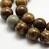 Natural Dendritic Jasper Beads Strands X-G-E382-07-6mm-1