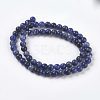 Natural Sodalite Beads Strands G-E110-6mm-3-2