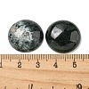 Natural Moss Agate Cabochons G-C115-02A-46-3