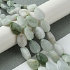 Natural Myanmar Jadeite Beads Strands G-A092-B01-01-2