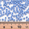 6/0 Glass Seed Beads SEED-A012-4mm-123B-4