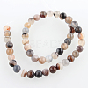 Dyed & Heated Natural Striped Agate/Banded Agate Round Beads Strands G-E230-01-8mm-2