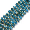 Natural Apatite Beads Strands G-P463-29-1