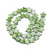 Freshwater Shell Beads Strands SHEL-S276-31C-2