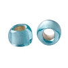 TOHO Round Seed Beads SEED-JPTR11-0023F-3