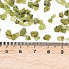 Natural Peridot Beads G-D363-A01-3