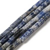 Natural Blue Spot Jasper Beads Strands G-D464-34-1