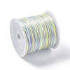 Segment Dyed Nylon Thread Cord NWIR-A008-01F-2