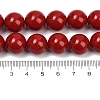 Shell Pearl Beads Strands X-BSHE-K015-14mm-01-4