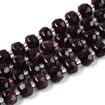 Natural Garnet Beads Strands G-N327-08A-03-1
