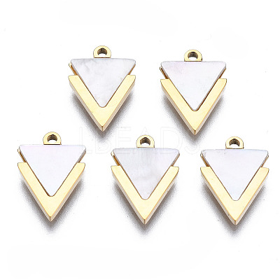 316 Surgical Stainless Steel Charms LS-STAS-N097-043-1