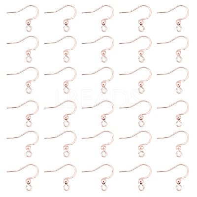 316 Surgical Stainless Steel Earring Hooks STAS-P220-13RG-1