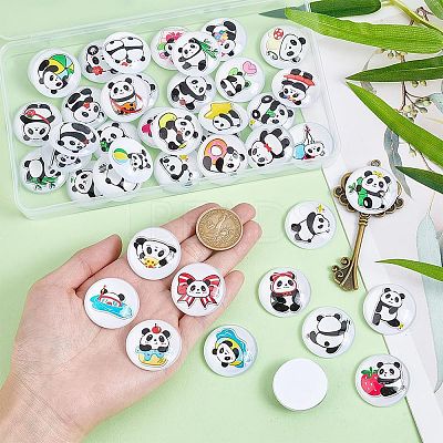 1Set Glass Cabochons GGLA-PH0001-65H-1