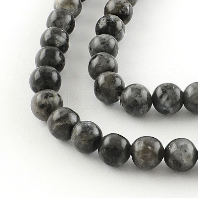 Natural Larvikite Round Beads Strands G-R342-10mm-09-1
