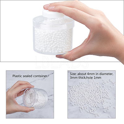 6/0 Ceylon Round Glass Seed Beads SEED-PH0009-05-1