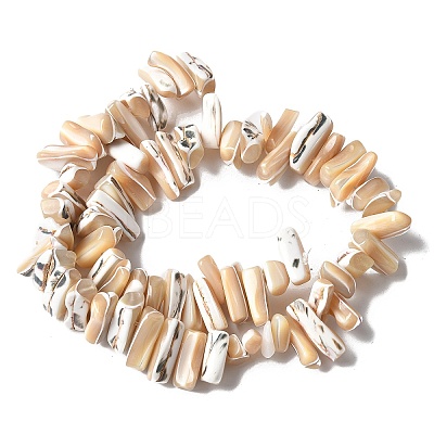 Dyed Natural Trochus Shell Beads Strands SSHEL-C013-09K-1