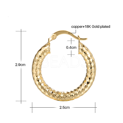 Brass Textured Hoop Earrings FS-WGEF2F9-01-1