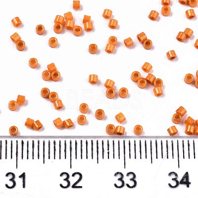 FGB 11/0 Grade A Baking Paint Glass Seed Beads SEED-S030-1028-1